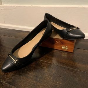 Black Pointed Toe Flats
